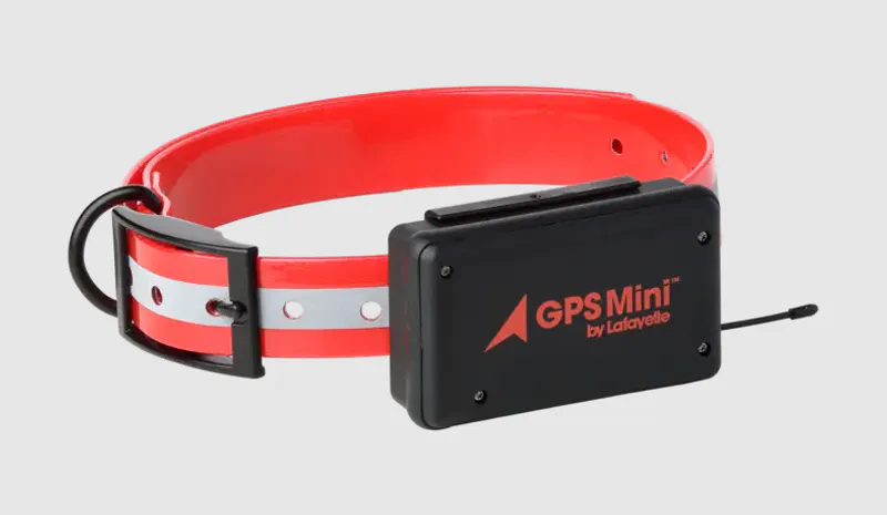 LAFAYETTE - GPS MINI HUNDPEJL